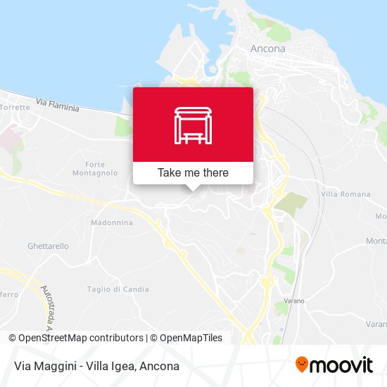 Via Maggini - Villa Igea map