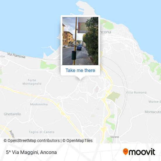 5^ Via Maggini map