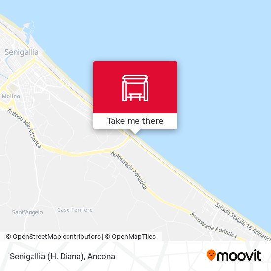 Senigallia (H. Diana) map