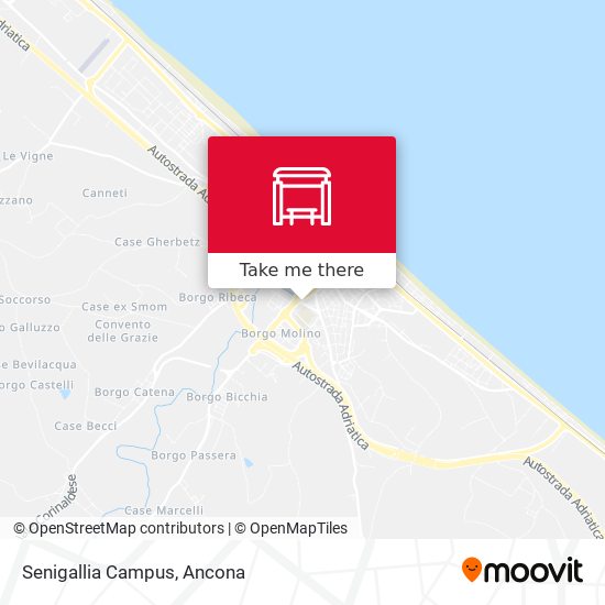 Senigallia Campus map