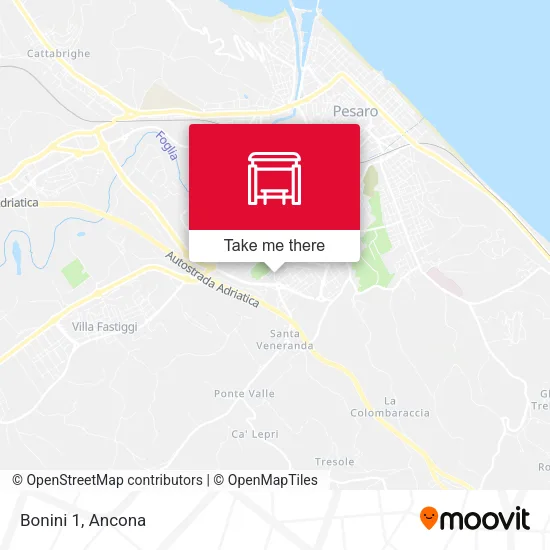 Bonini 1 map