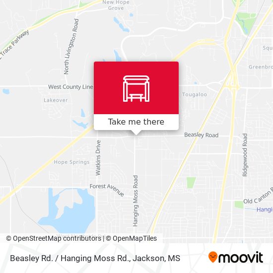 Beasley Rd. / Hanging Moss Rd. map