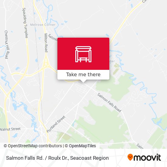 Salmon Falls Rd. / Roulx Dr. map