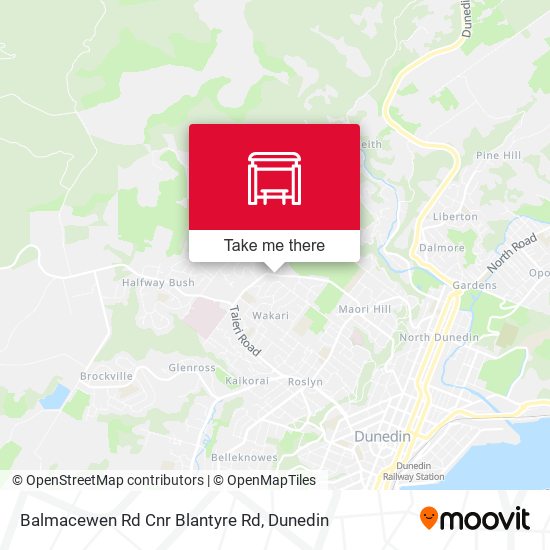 Balmacewen Rd Cnr Blantyre Rd map