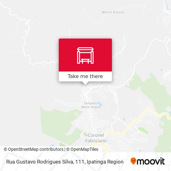 Rua Gustavo Rodrigues Silva, 111 map