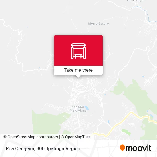 Rua Cerejeira, 300 map