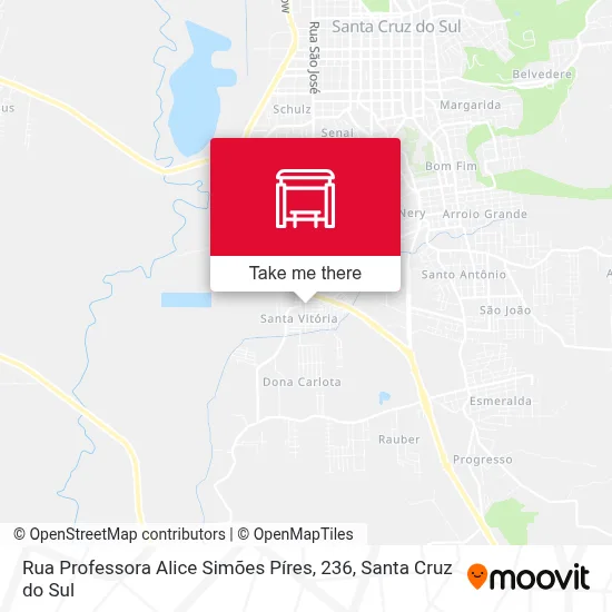 Rua Professora Alice Simões Píres, 236 map