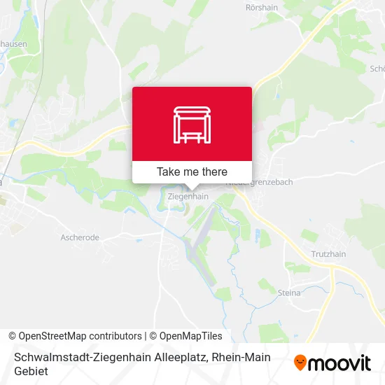 Карта Schwalmstadt-Ziegenhain Alleeplatz