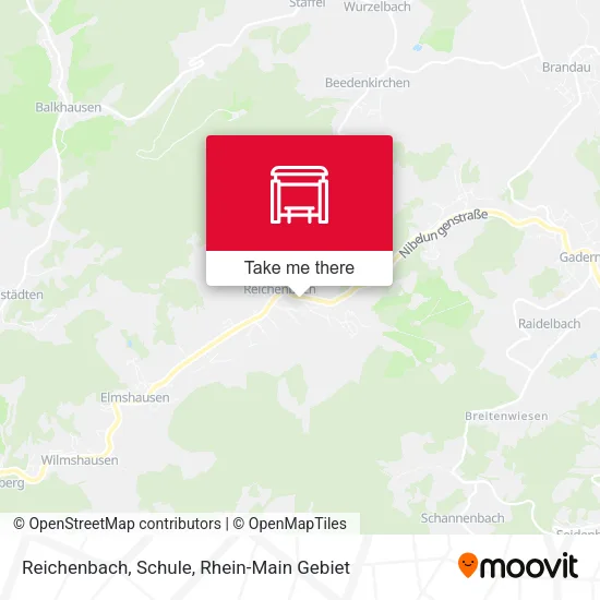 Карта Reichenbach, Schule