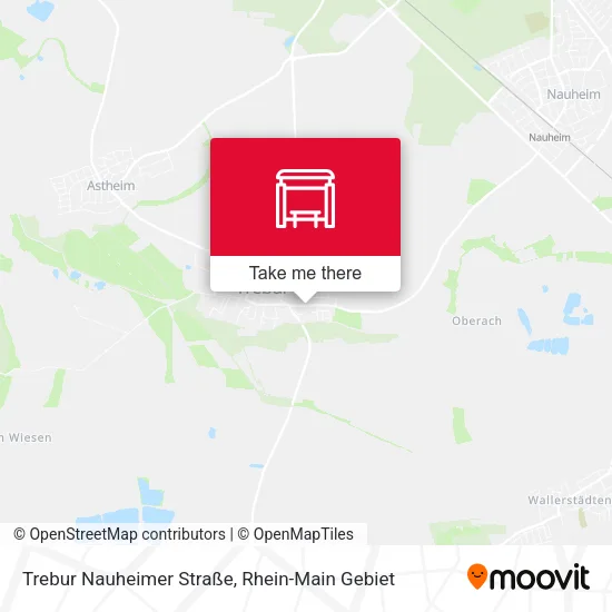 Карта Trebur Nauheimer Straße