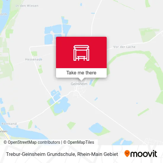 Карта Trebur-Geinsheim Grundschule