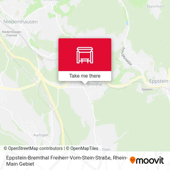 Карта Eppstein-Bremthal Freiherr-Vom-Stein-Straße