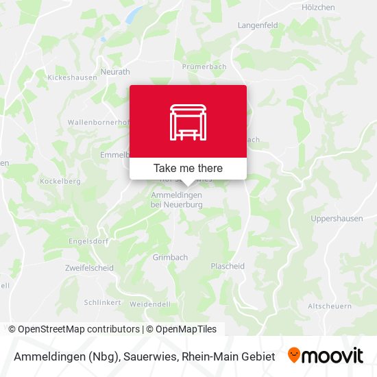 Ammeldingen (Nbg), Sauerwies map