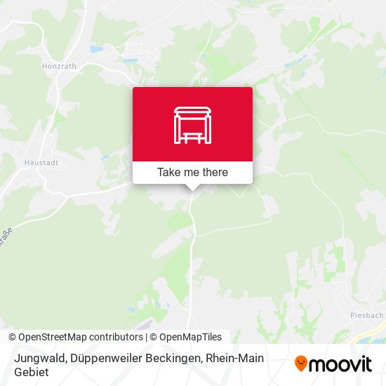 Jungwald, Düppenweiler Beckingen map
