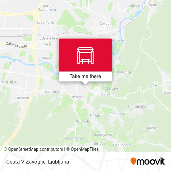 Cesta V Zavoglje map