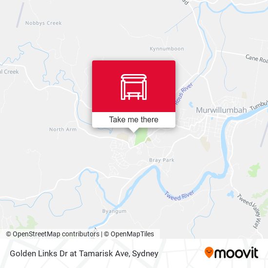 Golden Links Dr at Tamarisk Ave map
