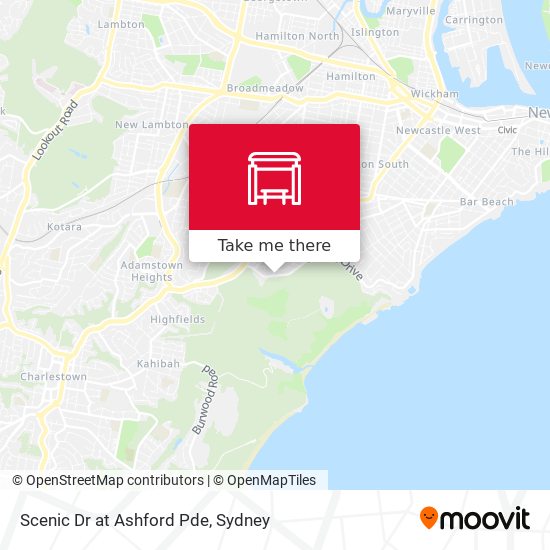 Scenic Dr at Ashford Pde map