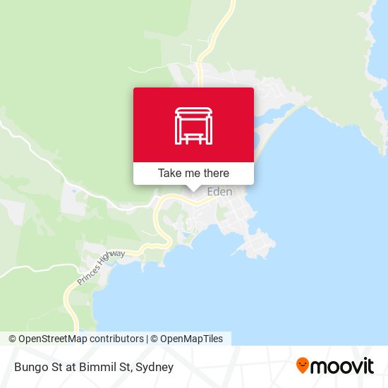 Bungo St at Bimmil St map