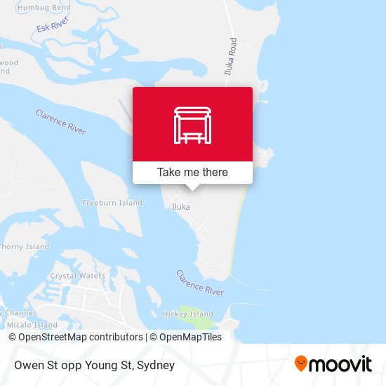 Owen St opp Young St map