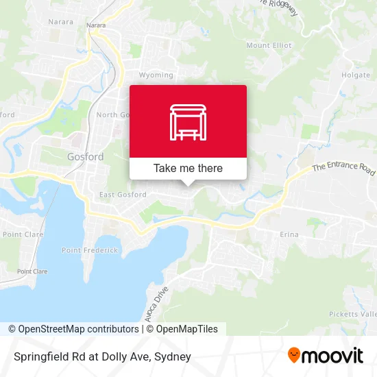 Springfield Rd at Dolly Ave map
