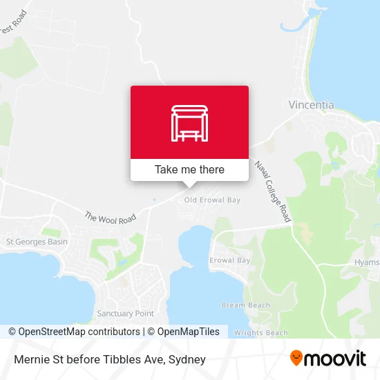Mernie St before Tibbles Ave map