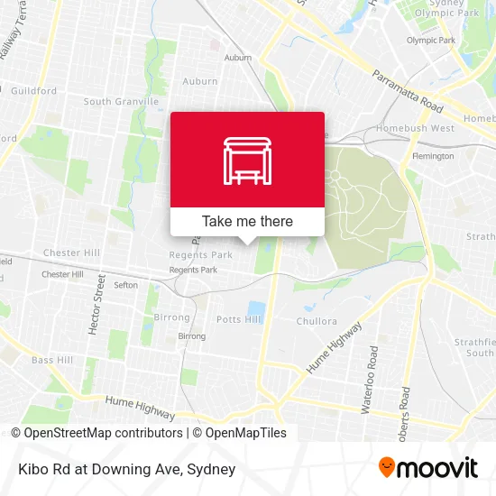 Kibo Rd at Downing Ave map