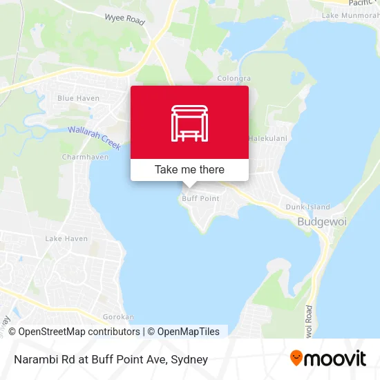 Narambi Rd at Buff Point Ave map