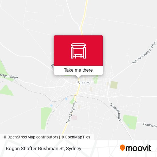 Bogan St after Bushman St map