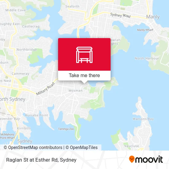 Mapa Raglan St at Esther Rd