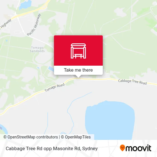 Mapa Cabbage Tree Rd opp Masonite Rd