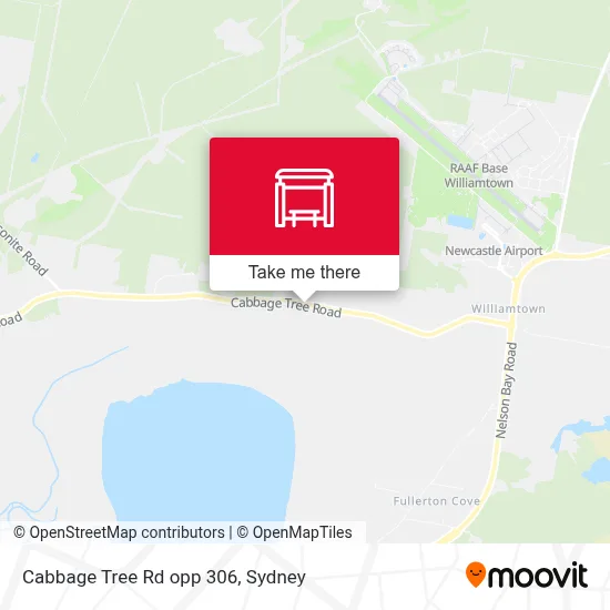 Mapa Cabbage Tree Rd opp 306