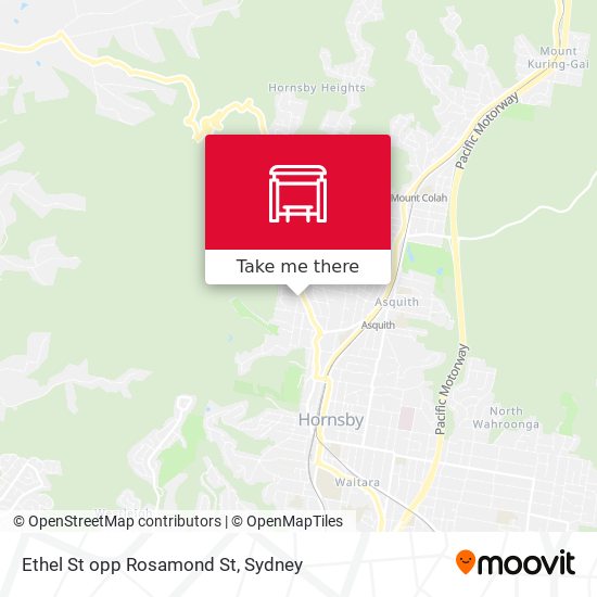 Ethel St opp Rosamond St map