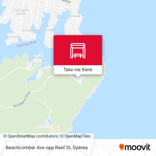 Beachcomber Ave opp Reef St map