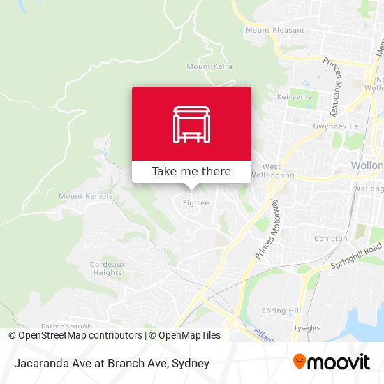 Jacaranda Ave at Branch Ave map