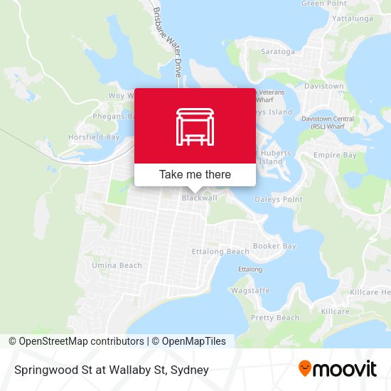 Springwood St at Wallaby St map