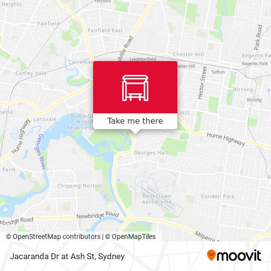 Jacaranda Dr at Ash St map