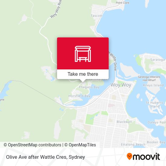 Olive Ave after Wattle Cres map