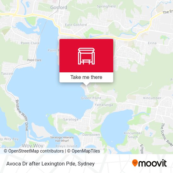 Avoca Dr after Lexington Pde map