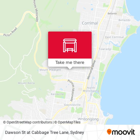 Dawson St at Cabbage Tree Lane map