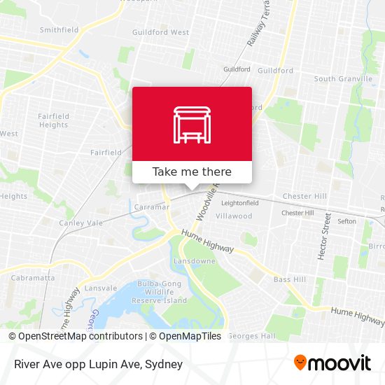 River Ave opp Lupin Ave map