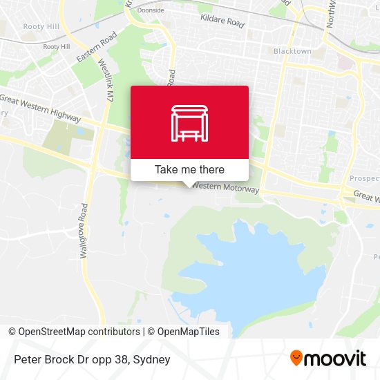 Peter Brock Dr opp 38 map