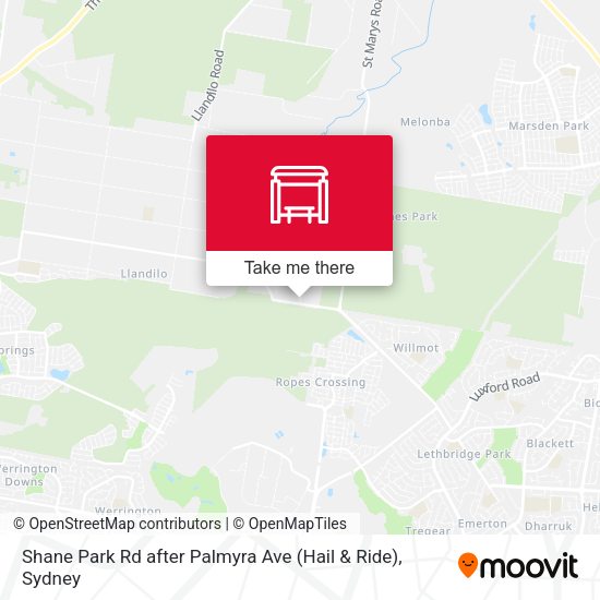 Shane Park Rd after Palmyra Ave (Hail & Ride) map