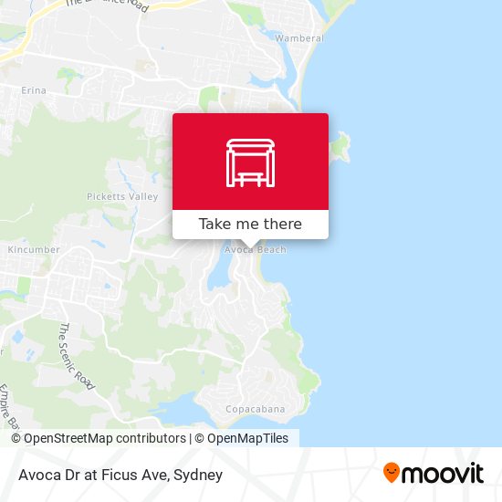 Avoca Dr at Ficus Ave map