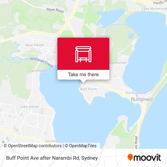 Buff Point Ave after Narambi Rd map