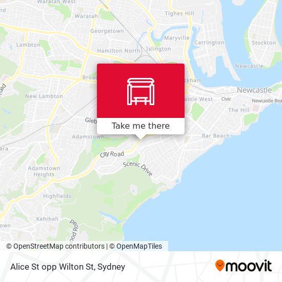 Alice St opp Wilton St map