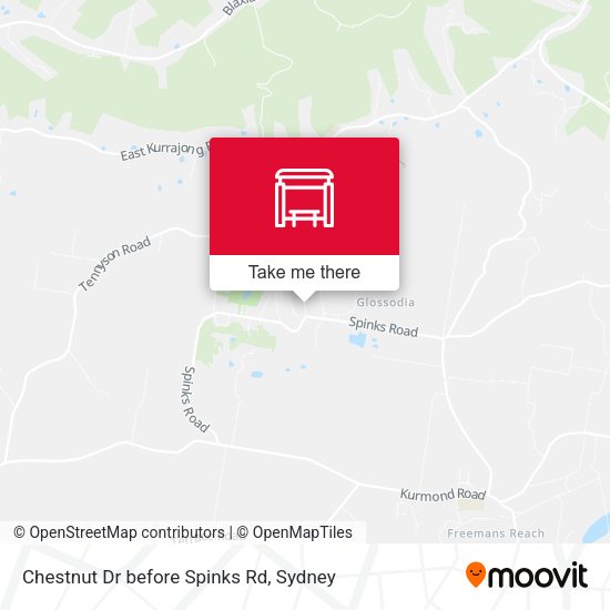 Chestnut Dr before Spinks Rd map