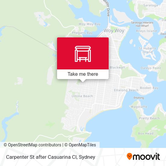 Carpenter St after Casuarina Cl map