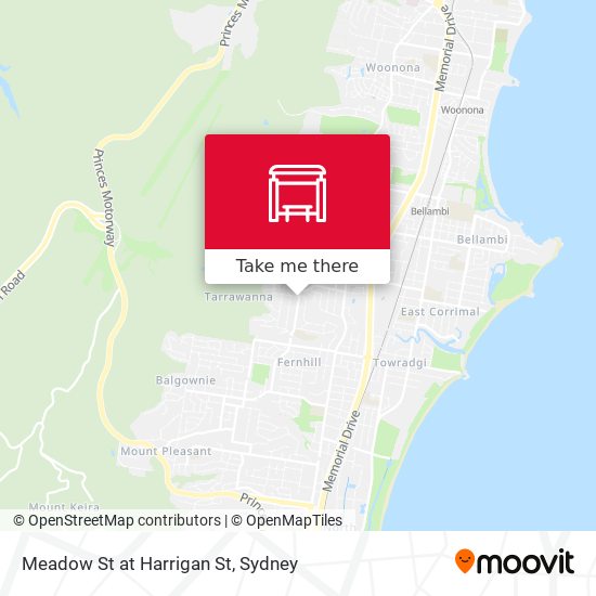 Meadow St at Harrigan St map