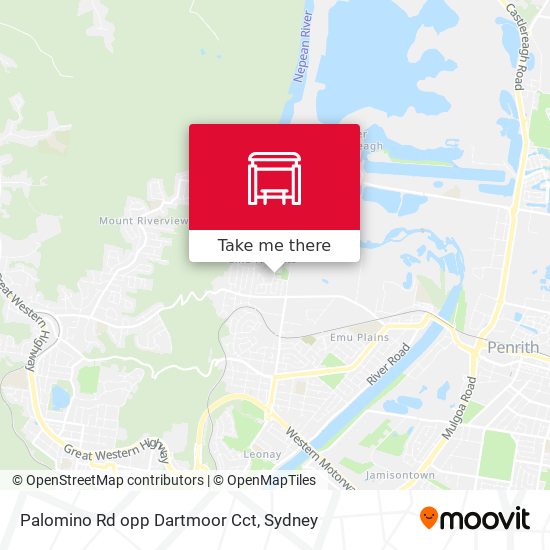 Palomino Rd opp Dartmoor Cct map