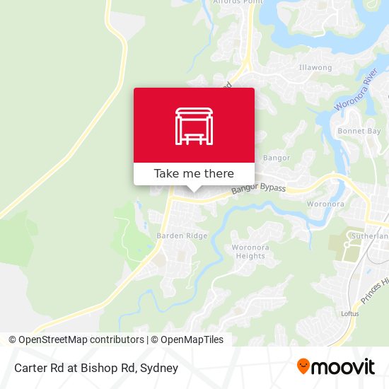 Carter Rd at Bishop Rd map